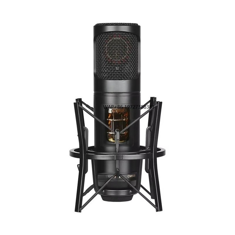 For  CM500 Large-diaphragm Tub - đánh giá và giá Condenser Microphone Studio Large Diaphragm