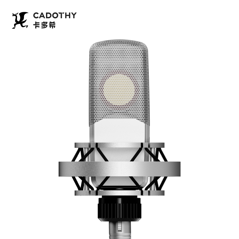 Custom High Quality PRO Large  - đánh giá và giá Condenser Microphone Studio Large Diaphragm