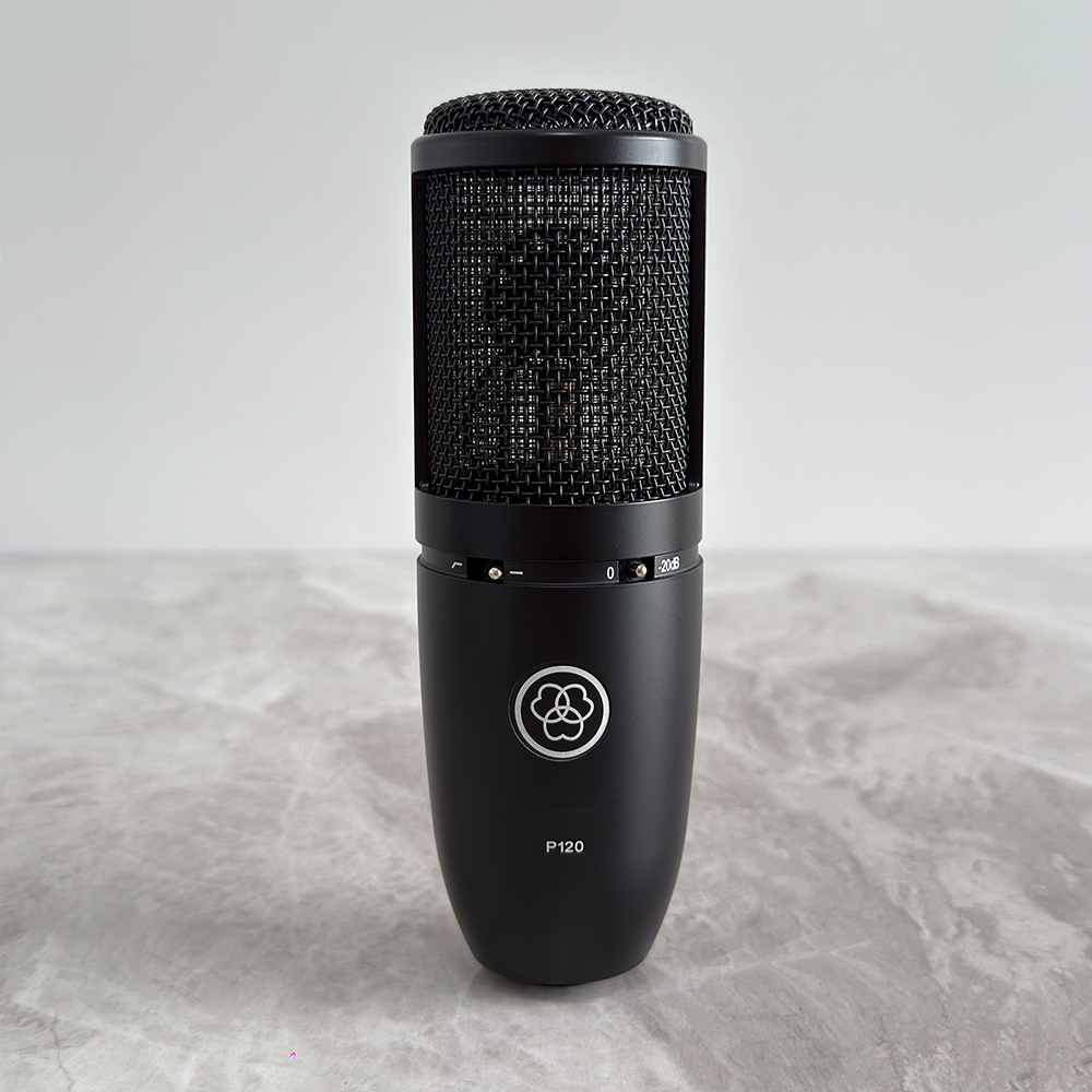 P120 Studio Microphone Large D - đánh giá và giá Condenser Microphone Studio Large Diaphragm